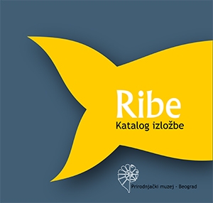 Početna | Delfi knjižare | Sve dobre knjige na jednom mestu